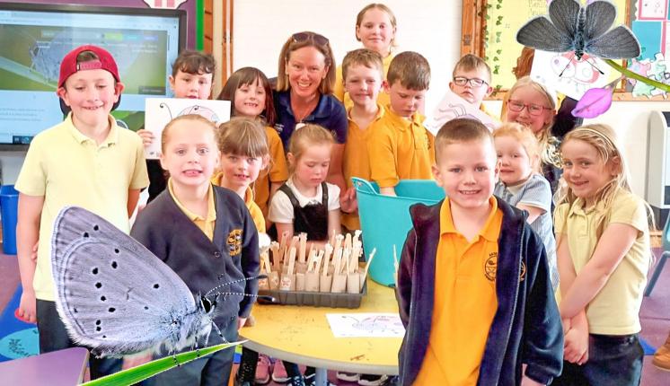 Children at Ardersier Primary School helping Butterfly Conservation's Small Blue work in Scotland. 